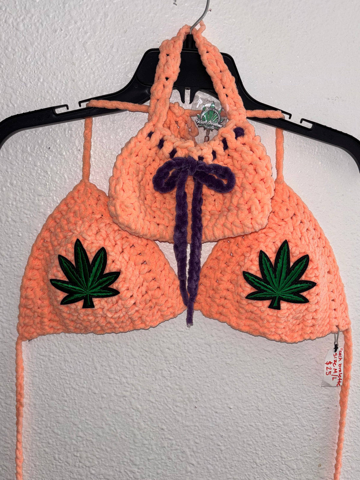 Soft Peach Bra with Hand Bag
