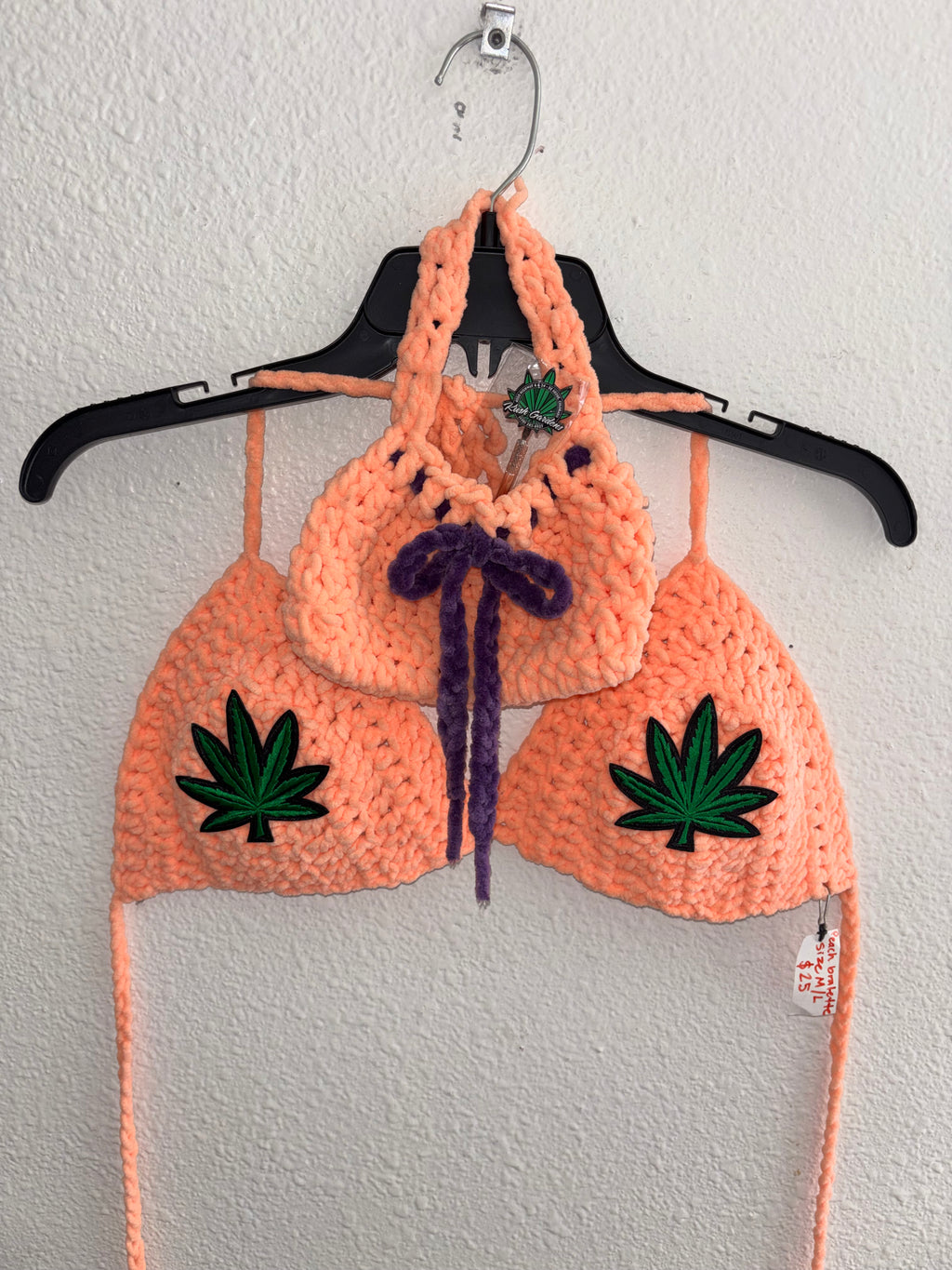 Soft Peach Bra with Hand Bag